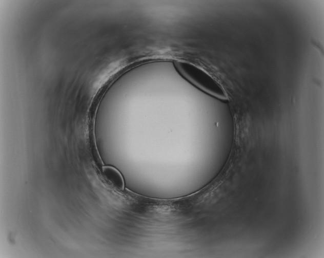 X0000102230344200808081352