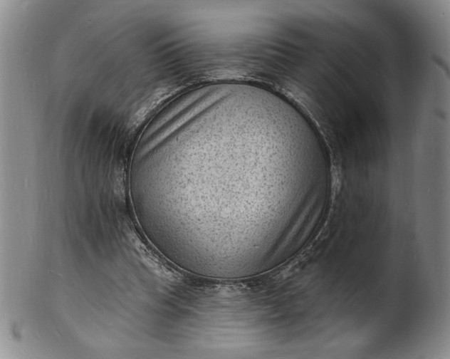X0000102230345200808081352