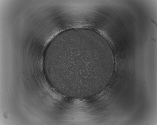 X0000102230346200808081352