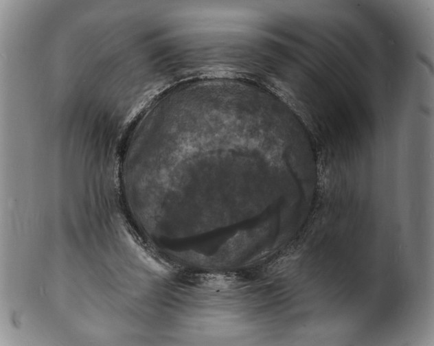 X0000102230347200808081352