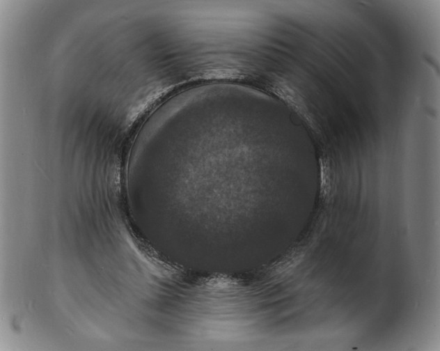 X0000102230348200808081352
