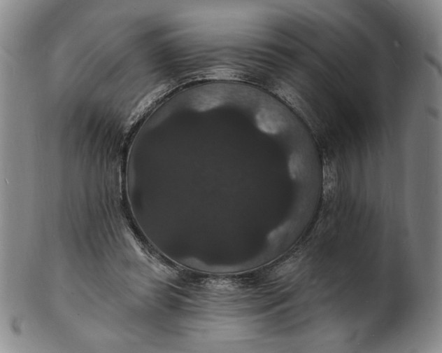 X0000102230349200808081352