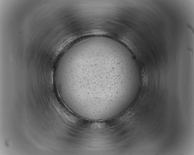 X0000102230350200808081352