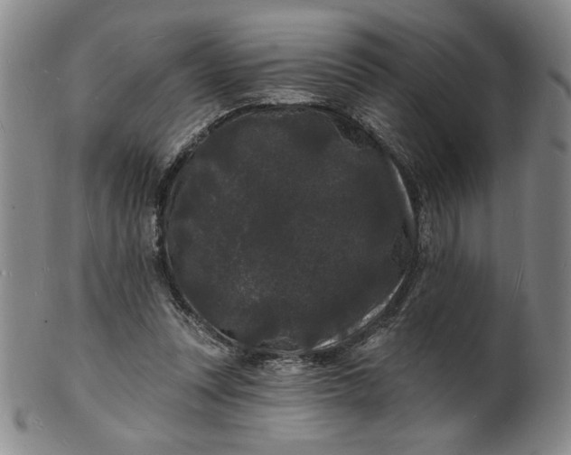 X0000102230351200808081352