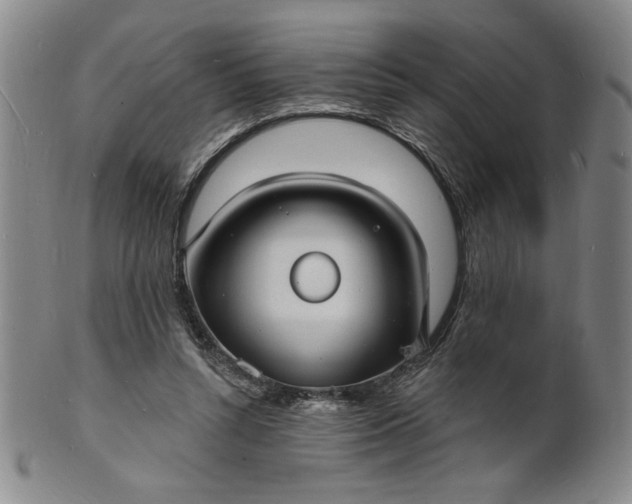 X0000102230352200808081352