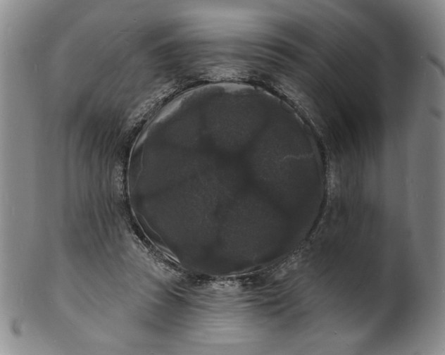 X0000102230353200808081352