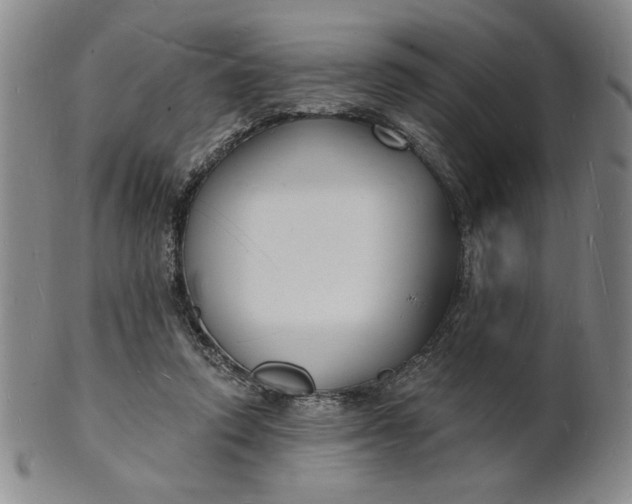 X0000102230354200808081352