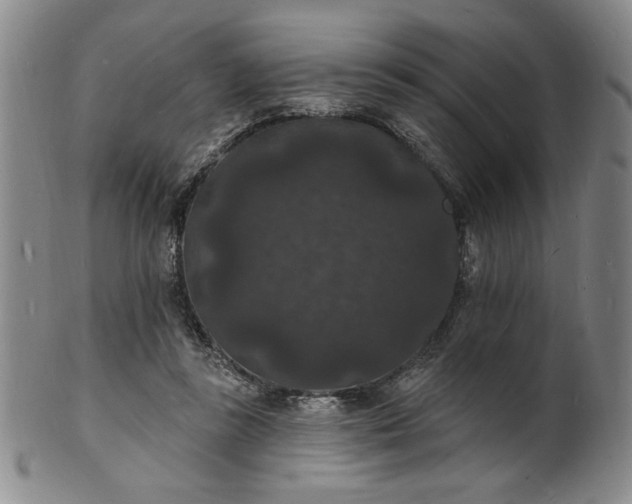 X0000102230355200808081353