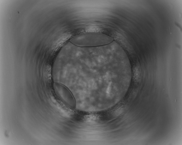X0000102230356200808081353