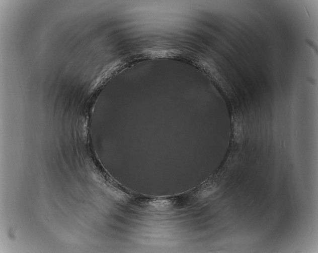 X0000102230357200808081353