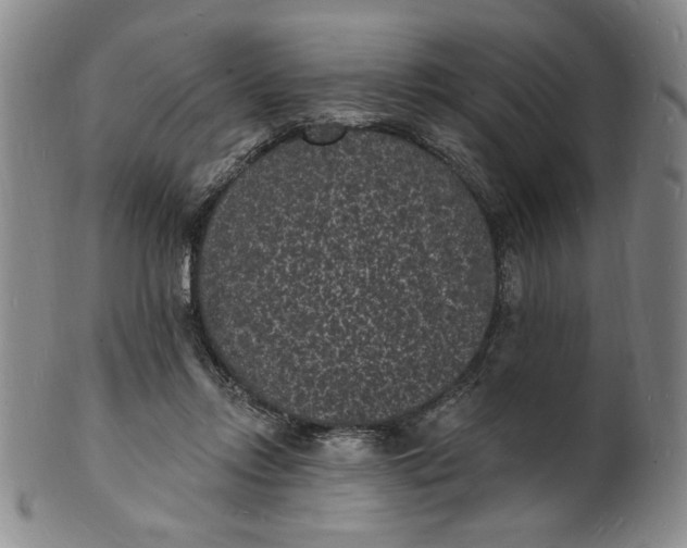 X0000102230358200808081353