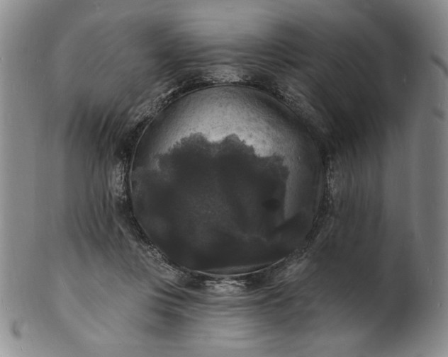 X0000102230359200808081353