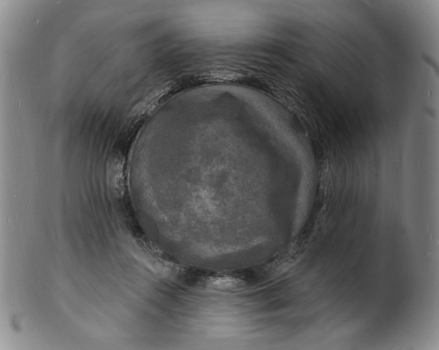 X0000102230360200808081353