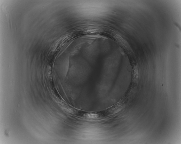 X0000102230361200808081353