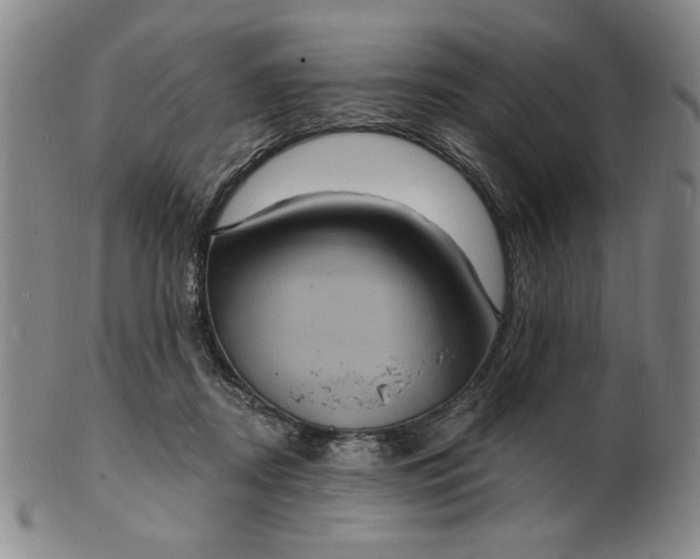X0000102230362200808081353