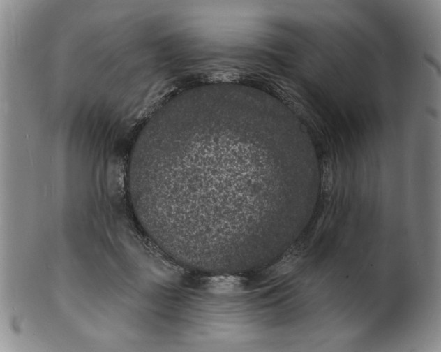 X0000102230363200808081353