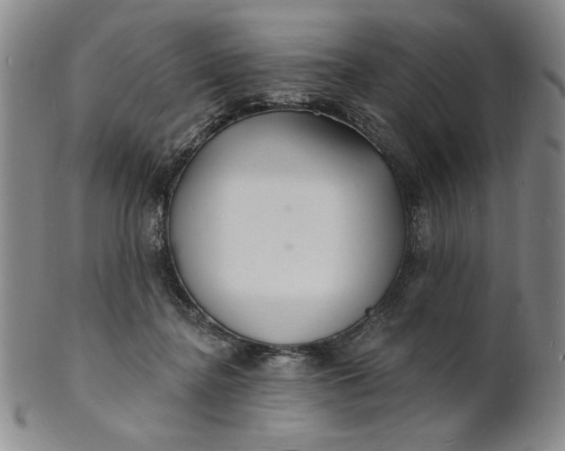 X0000102230364200808081353