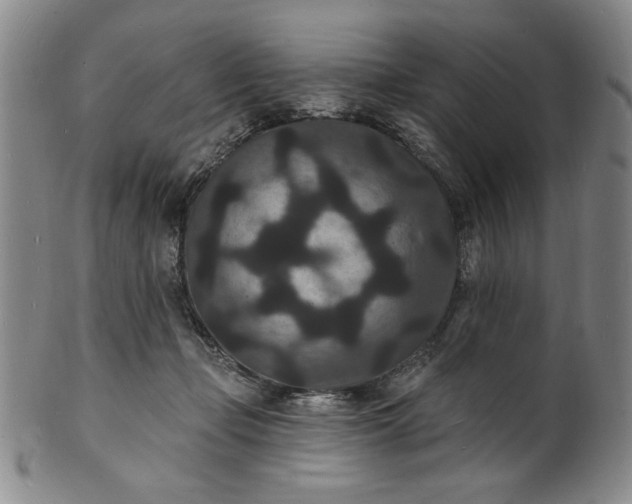 X0000102230365200808081353