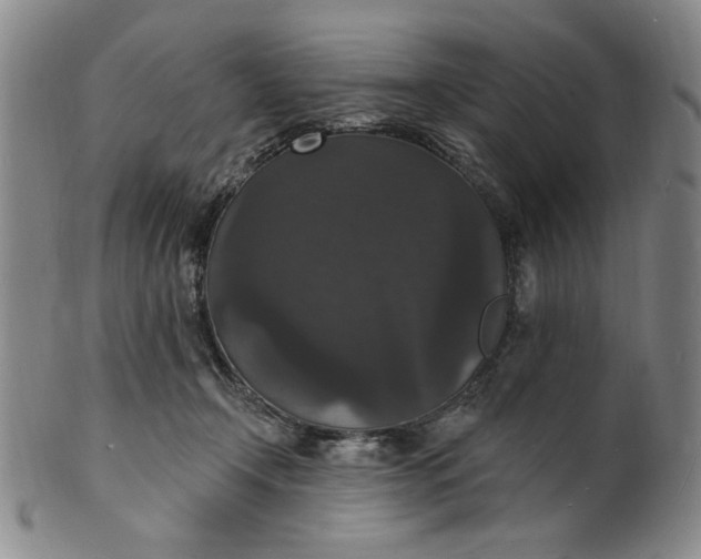 X0000102230366200808081353
