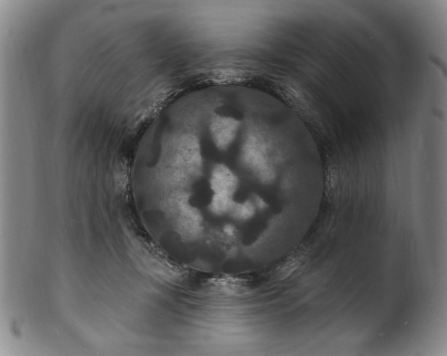 X0000102230367200808081353