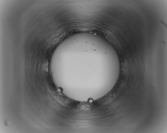 X0000102230368200808081353