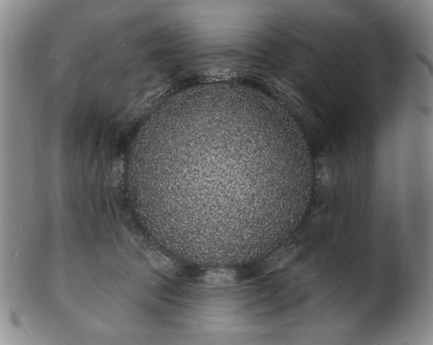 X0000102230369200808081353