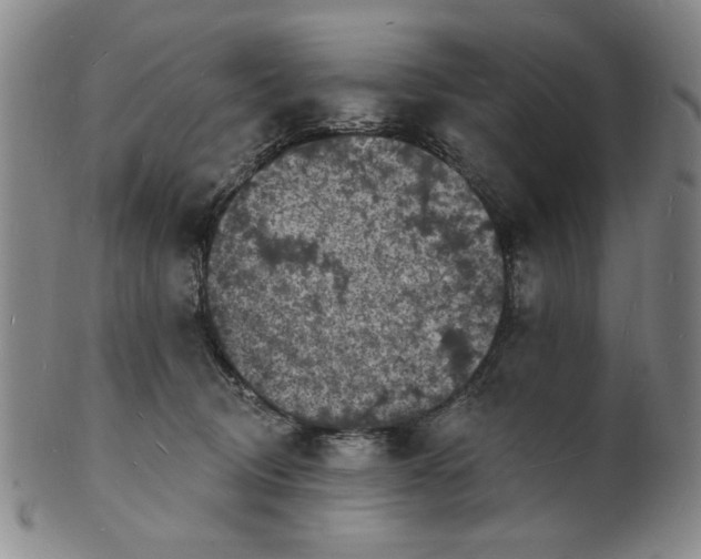 X0000102230370200808081353