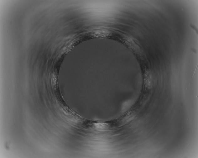 X0000102230371200808081353