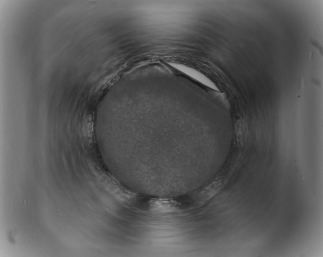X0000102230372200808081353