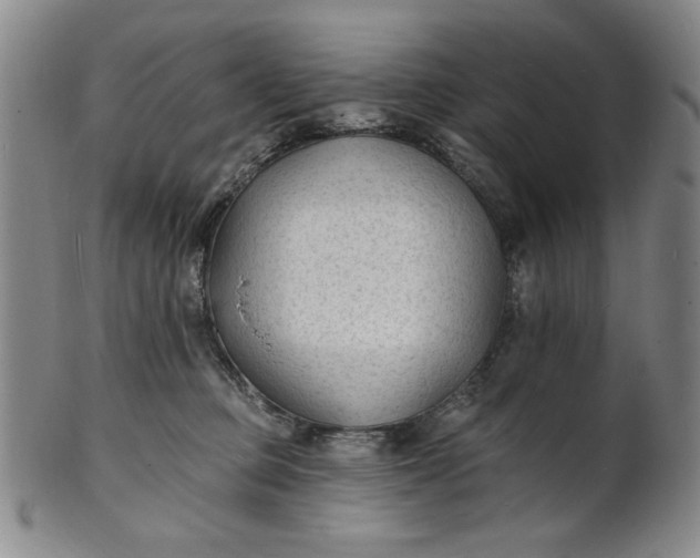 X0000102230373200808081353