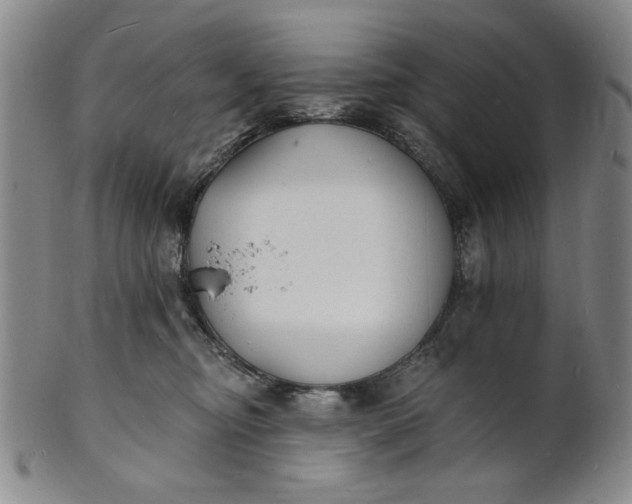 X0000102230374200808081353