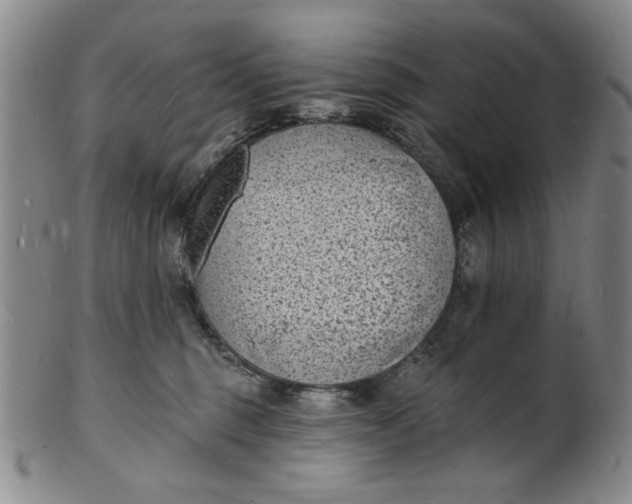 X0000102230375200808081353