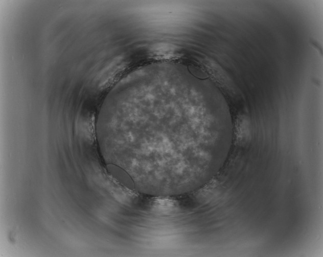 X0000102230376200808081353