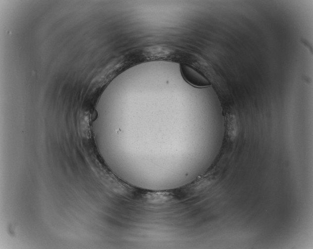 X0000102230378200808081353