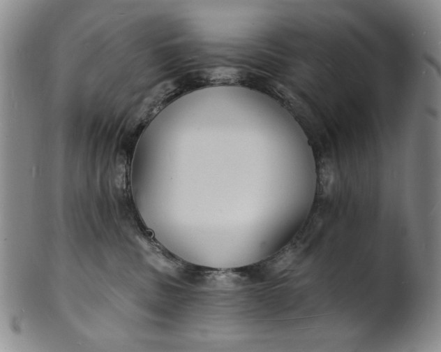 X0000102230379200808081353