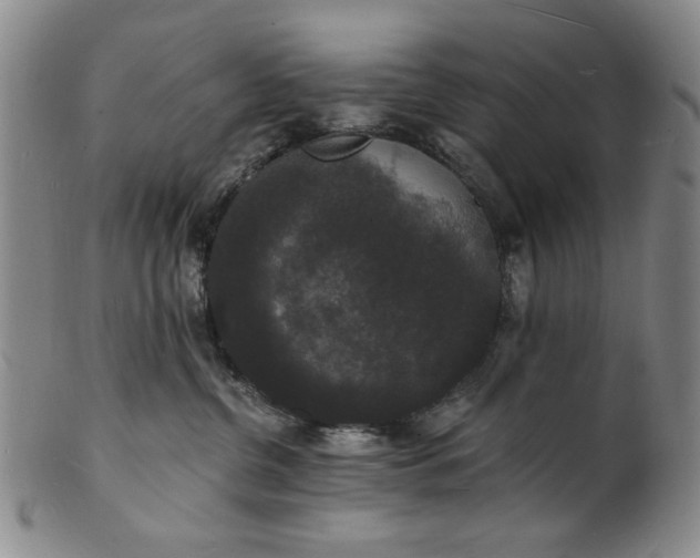 X0000102230380200808081353