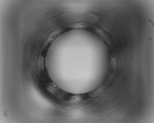 X0000102230381200808081353