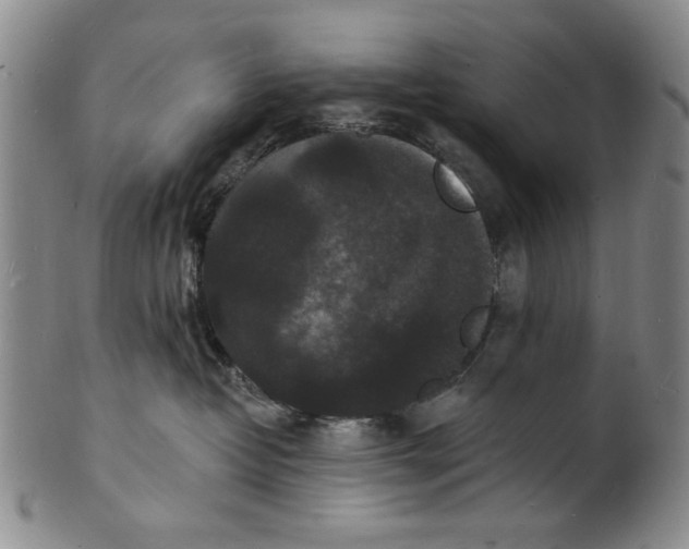 X0000102230382200808081353