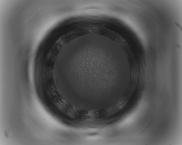 X0000102230383200808081353