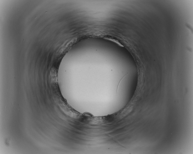 X0000102230384200808081353