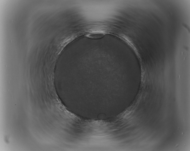 X0000102230385200808081352