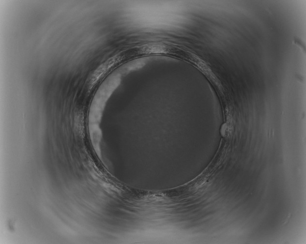 X0000102230386200808081352