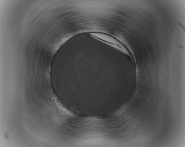 X0000102230389200808081352