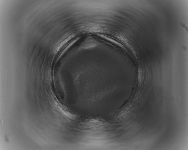 X0000102230390200808081352