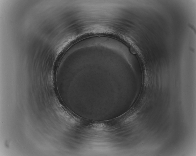 X0000102230391200808081352