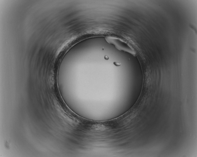 X0000102230392200808081352