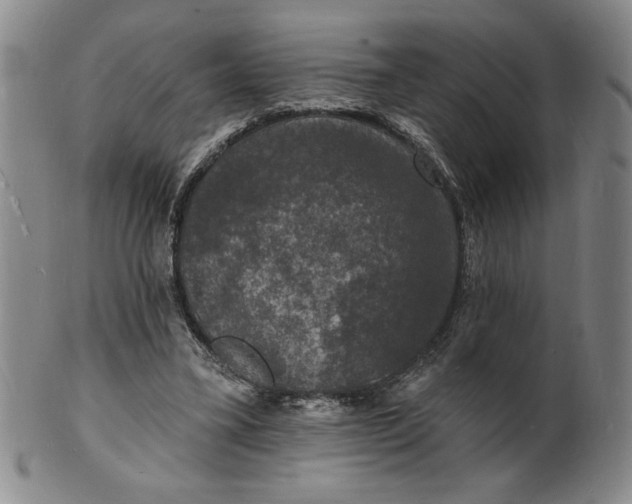 X0000102230395200808081352