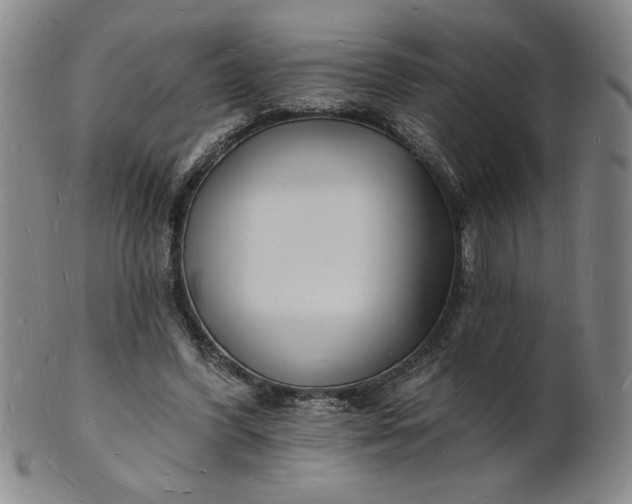 X0000102230396200808081352