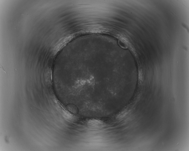 X0000102230397200808081352