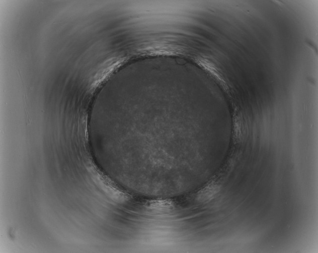 X0000102230398200808081352